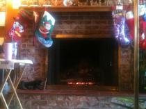 My parents had a new addition to the house - our very own fire!