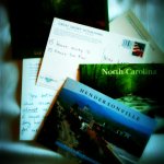 I Won’t Send&nbsp;Roses